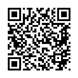 领地的事务在马文和维尼的整理之下二维码生成