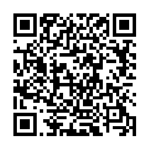 领头的侍卫头领想到了尼尔王要求最好活捉两人的命令二维码生成