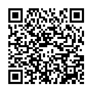 领头的孟家男人身旁的几个黑衣男就立即冲了进去二维码生成