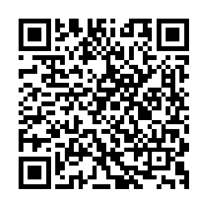 领悟了天衣无缝极致外加无懈可击极致都没能杀了这印度神帝二维码生成