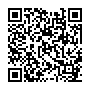 领悟的都是三千大道中攻击力最强之一的雷电法则二维码生成