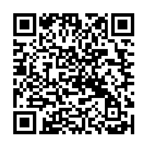 领民甚至每年都要自带干粮地无条件响应领主的征召二维码生成