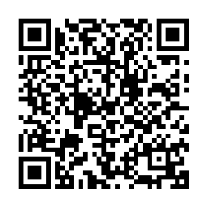 领着低眉垂眼低个脑袋盯着脚下不敢到处乱看的夏侯龙城入内二维码生成