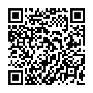 领着其他同样激动不已的杀手们欢喜的跪伏告退二维码生成