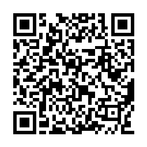 领着成榕阳和曹轩两人正悠哉走着弯路的萧暧暧二维码生成