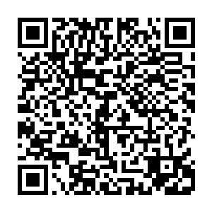 领队也都会在赛后第一时间将比赛经历和结果以表格的方式呈上来送给她批阅二维码生成