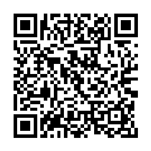颇有些眼热的望了望漂浮在霍风头顶的那颗珠子二维码生成