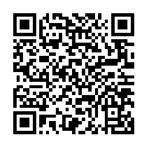 颛顼凭借着他大罗金仙巅峰的境界一下子看清了池佳一的境界二维码生成