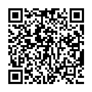 颜以馨很不客气地把唐可心带来的果篮和鲜花摔出了vip病房外二维码生成