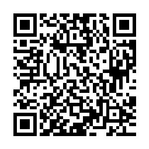 颜依依的惊呼和刘敏煞白的脸色表情已经是告诉了他们答案了二维码生成