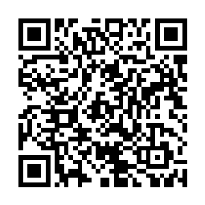 颜家极可能在生灭之战后失去对十寒古地人族的主宰权二维码生成