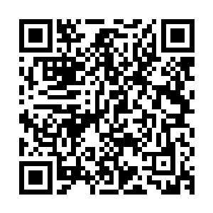 颜晓夕茫然的看着对面的人高马大却比她小了足足两岁的小男生二维码生成