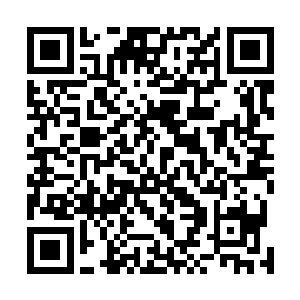 颜洛儿一直很谨慎的带着紫涟漪和若相离耐心潜伏在地底二维码生成