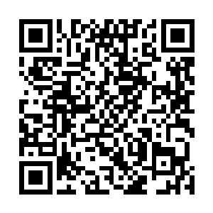 颜洛儿却是瞅了瞅一直在身旁似乎比她们还紧张的血幽紫二维码生成