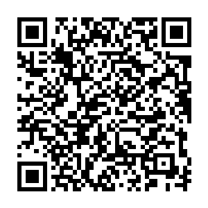 颜洛儿取出一颗人头大的蓝水晶球和一枚巴掌大的传讯海贝放到面前矮几上二维码生成