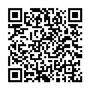 颜洛儿和其他两魂神色凝重的冲到流墨墨神魂旁二维码生成