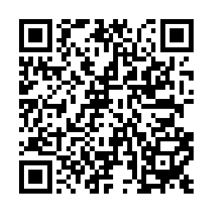 颜洛儿嬉笑着直接化成碧色流光回到流墨墨身体里二维码生成