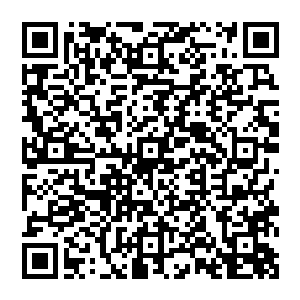 颜洛儿手一动从外形是交织碧绿藤蔓的储物戒指里取出一块水蓝色的风妖晶汲取妖力补充自身二维码生成