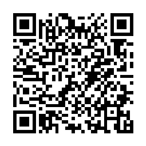 颜洛儿盯着乖巧奉茶的夕桐和姿态随意看着拍卖的六爷二维码生成