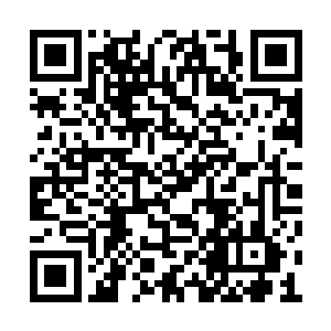 颜洛儿说完直接化成血色流光钻回流墨墨身体里二维码生成