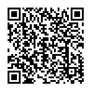 颜洛儿踏上这片疑似大陆的地面上挥手放出翠绿妖气寸寸探测起来二维码生成