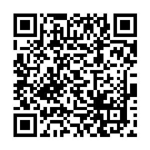 颜涵明不需要知道是不是真的就是林放欺骗了自己的二维码生成