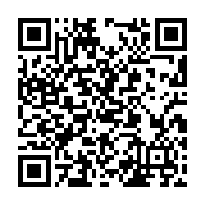 颜色各异的各种元素力量也再次汇聚成了元素潮汐二维码生成