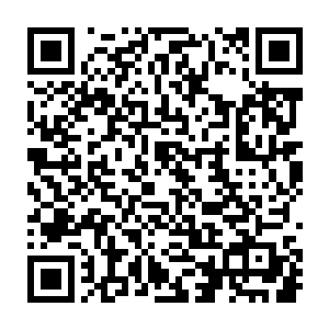 颜色红的绿的紫的大约有六七种颜色的花儿将整个百草园映衬的格外漂亮二维码生成