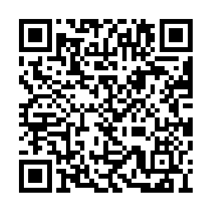 颜色绚丽的黄色扶郎以梯次状态懒散的点缀其间二维码生成