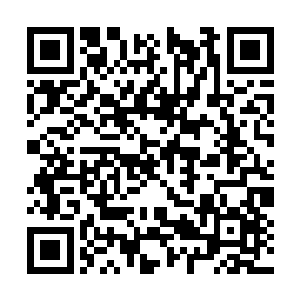 颠覆自然规律的结果自然是遭受了自然规律的报复二维码生成