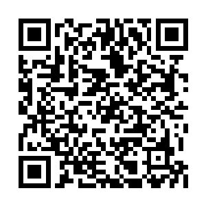 颤巍巍地抬起手向着极远处朦胧一片的群山指去二维码生成