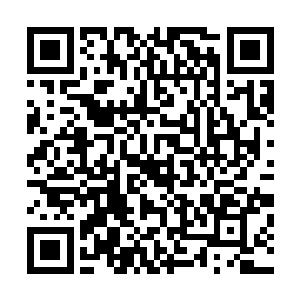 风之凌这般说法的目的乃是打算要激起自己师父的求生意念二维码生成