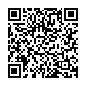 风云工会城外的站的密密麻麻的方阵上方升起一道道炙亮的白光二维码生成