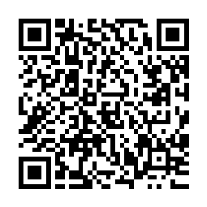 风云律师隐蔽的冲坐在一旁的团队里的一个人竖了一下大拇指二维码生成