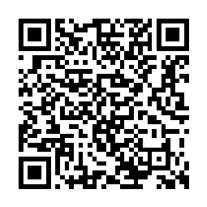 风卷残云地就把空姐拿来给杨辰的食物都吃完了二维码生成