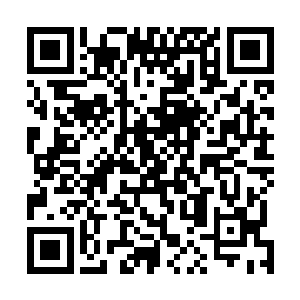 风夜笑和另外两个人已经走到了铁龙宗宗门大殿的门槛处二维码生成