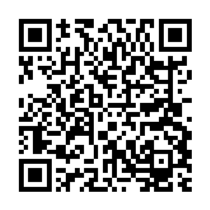 风大帅也没有劝我进了中海别院之后不要伤害那五位老人什么的二维码生成