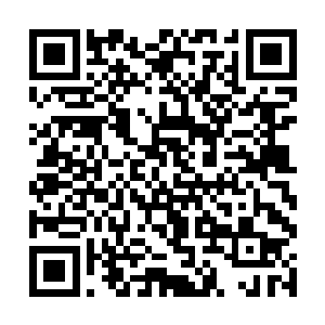 风天翔其实不认为幕后的那个敌人会选择继续蹲机场二维码生成