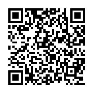 风天翔和叶婉依也从来没做过什么出格的事情来二维码生成