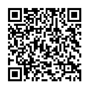 风天翔就拿出赤血晶石收入体内开始凝练本命法器二维码生成