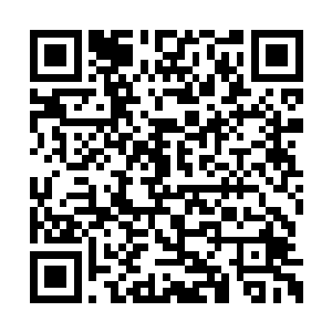 风天翔的大脑飞快的消耗着冉冉发来的这些知识二维码生成