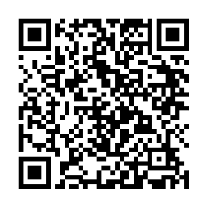 风天翔那种恶心实力早就把这些见习期的特种兵征服了二维码生成