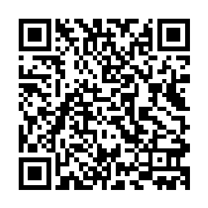 风奇泽这个时候慢慢的考级到了这个雕塑旁边看了看这个雕塑二维码生成