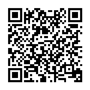 风无痕的脸上也闪过了一抹难以掩饰的惊恐的神情二维码生成