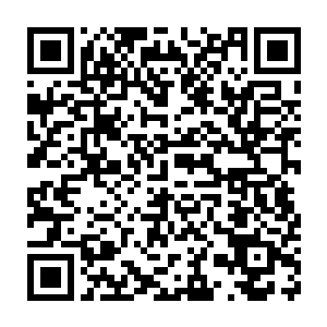 风水楼和天医馆可是南阳国最出名的风水相术馆和医术最高的医馆二维码生成