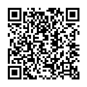 风洲领袖就示意下属给每个商队的桌子上摆上菜肴美酒二维码生成