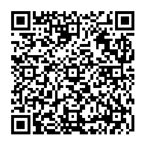 风清扬凝神循着声源一看只见前方的一颗十人都抱不过来的大树猛然的裂开一道口子二维码生成