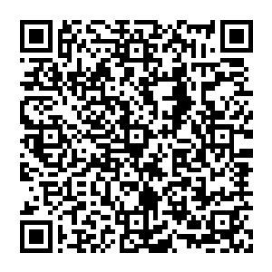 风清扬原地不动 他头上悬浮着判官笔 垂下万千墨色光幕 像是一个坚硬的龟壳 将他牢牢的保护在中央二维码生成