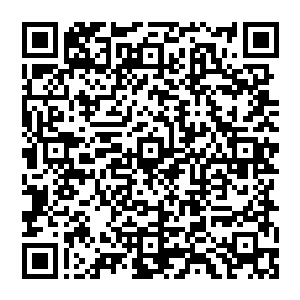 风清扬双眼变红 许久不曾出现的僵尸之牙瞬间深伸出 寒光闪烁 像是能够刺破苍穹的利刃二维码生成