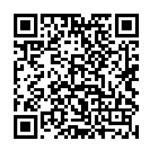 风清扬怪叫一声运起全身法力强行挣脱了手掌的封锁二维码生成